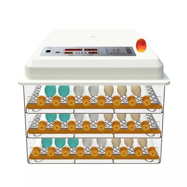 Incubator pentru oua Demetra DM-176