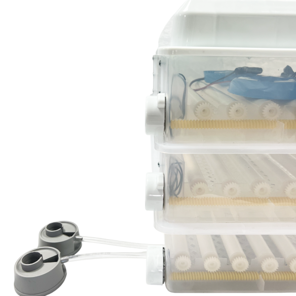 Incubator pentru oua Demetra DM-176
