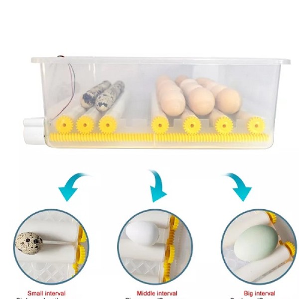 Incubator pentru oua Demetra DM-176
