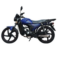 Motocicleta Alpha Moto CM110-2A