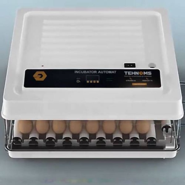 Incubator MS-70