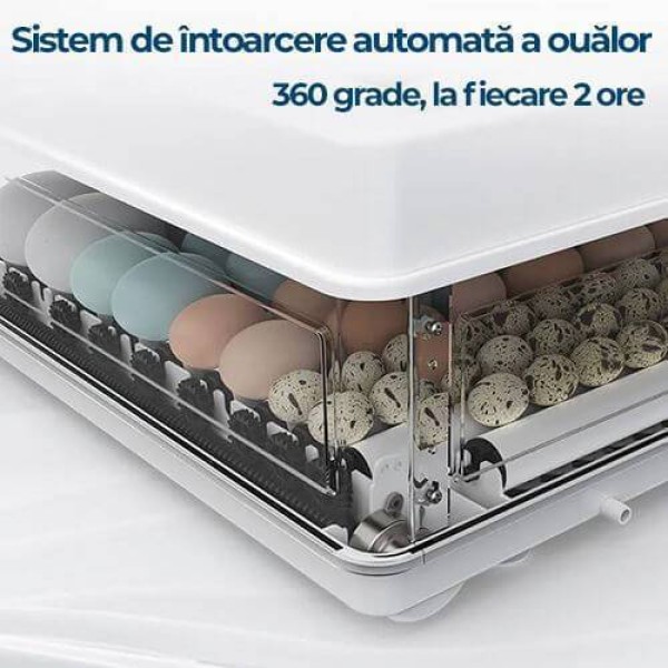 Incubator MS-130