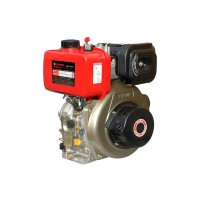 Motor diesel Kama 173FE