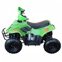 ATV pe benzină 110 CC Verde