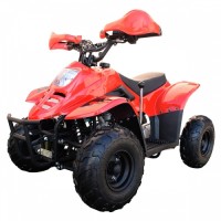 ATV pe benzină 110 CC Roșu