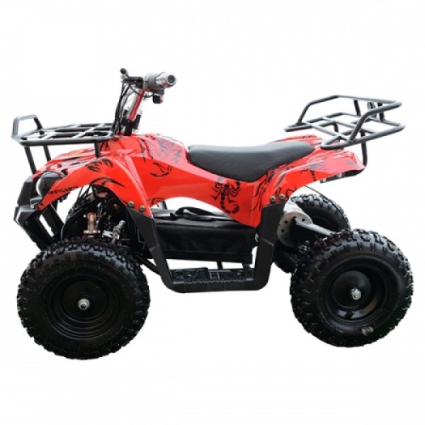 ATV electric ZY102