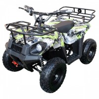 ATV electric ZY1020 Extreme