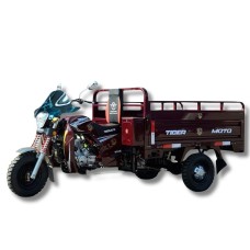 Triciclu cu motor TR6 300 cc (TRM 03)
