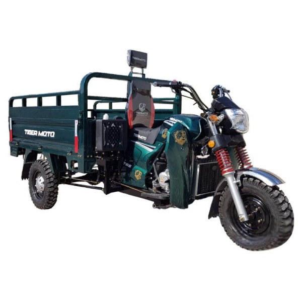 Трицикл TR6 250 cc (TRM 02)