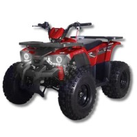 ATV pe benzină Hunter 125CC, Red