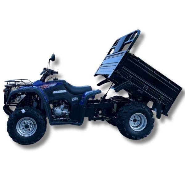 Бензиновый квадроцикл с прицепом Bashan 250CC Бензиновый квадроцикл с прицепом Bashan 250CC