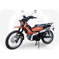 Motocicleta Rato Cross X 125 cc