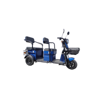 Трёхколёсный электроскутер Yadea ZT17 Синий