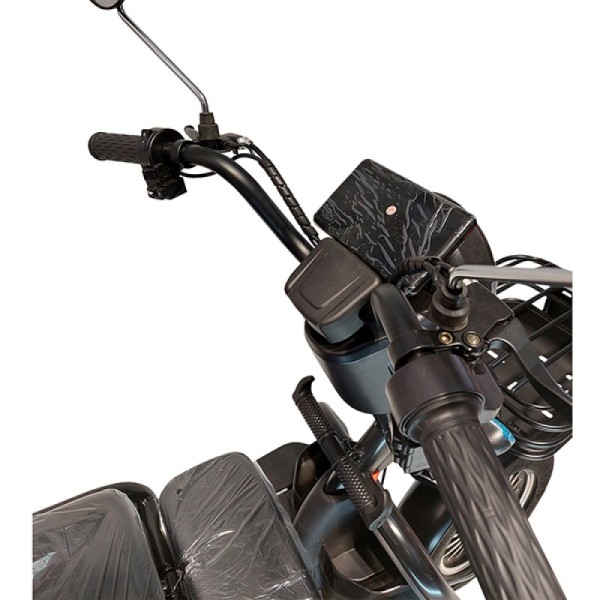 Tricicletă electrica cu trei roti 1000W Black