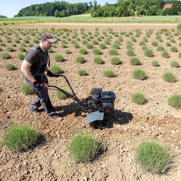 Cultivator pe benzină AL-KO Comfort MH 540 (113970)