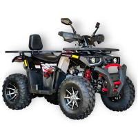 Квадроцикл Forte Hunter 250