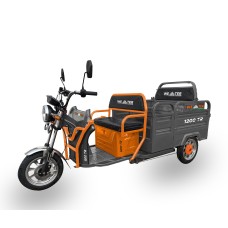 Трёхколёсный электроскутер Weter 1200 TR Transformer