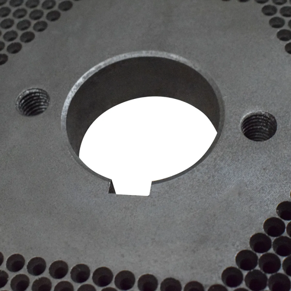 Matriță pentru granulator Demetra DM-120, 125mm, 2.5 mm