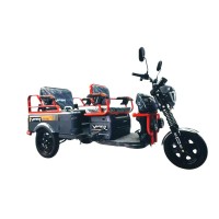 Электротрицикл Viper Cargo 10