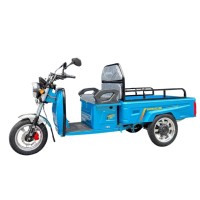 Triciclu cu remorcă Gherakl Cargo 2000 W