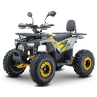 Электрический квадроцикл Gherakl FFD 2000