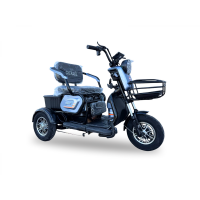 Tricicletă electrica cu trei roti Gherakl 1300W