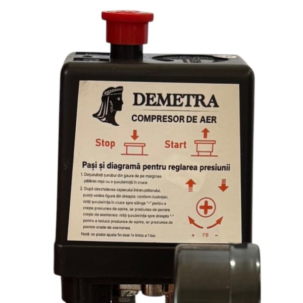 Compresor de aer Demetra DM-V025125