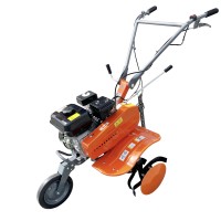 Motocultor TechnoWorker HB 700 PRO-M + freza