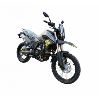 Motocicletă Viper Discovery 300