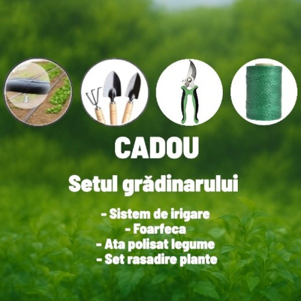 Sera pentru gradina Demetra 8x3x2 m