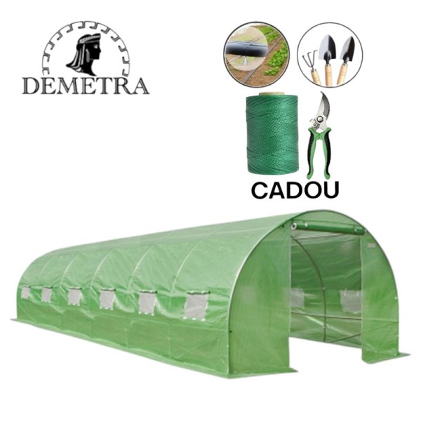 Sera pentru gradina Demetra 6x4x2.5 m