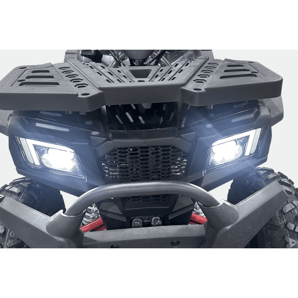 ATV Fangpower SW250 BIG BULL ATV Fangpower SW250 BIG BULL