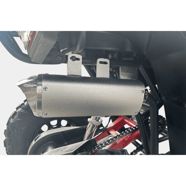 ATV Fangpower SW250 BIG BULL ATV Fangpower SW250 BIG BULL