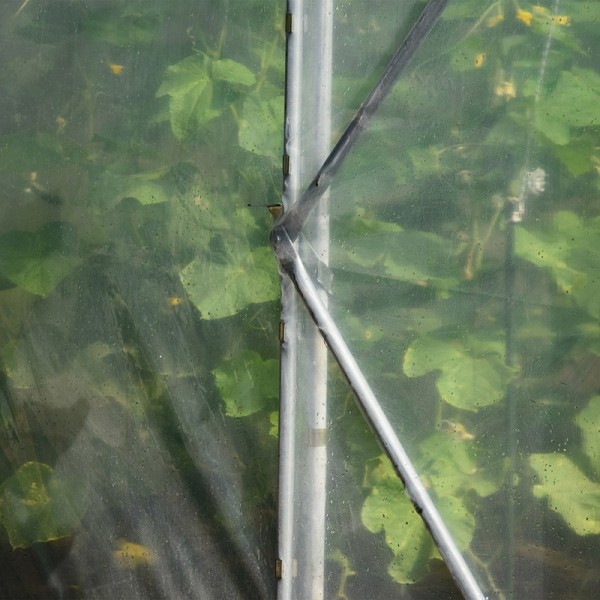 Sera gradina profesionala Demetra Italia, 45m2, 10-4.5-2.5m