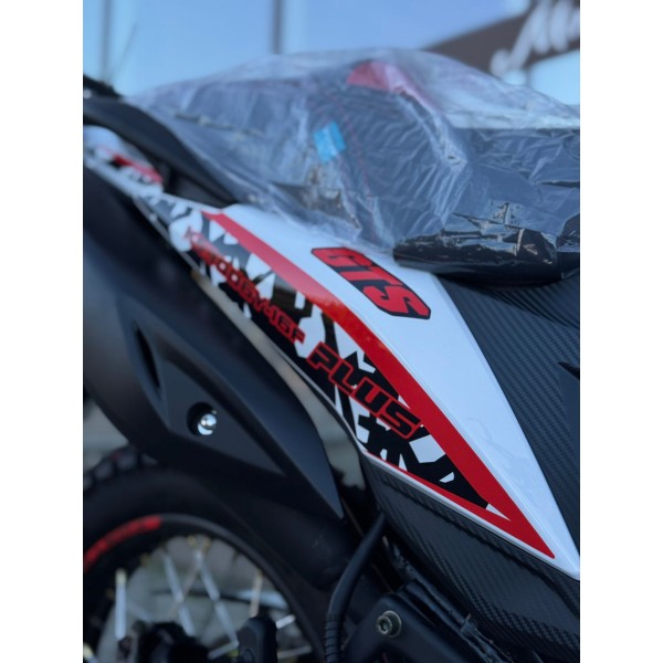 Motocicleta Forte 300 cc
