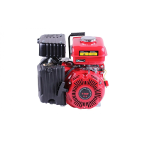 Motor pe benzina Tata 156F