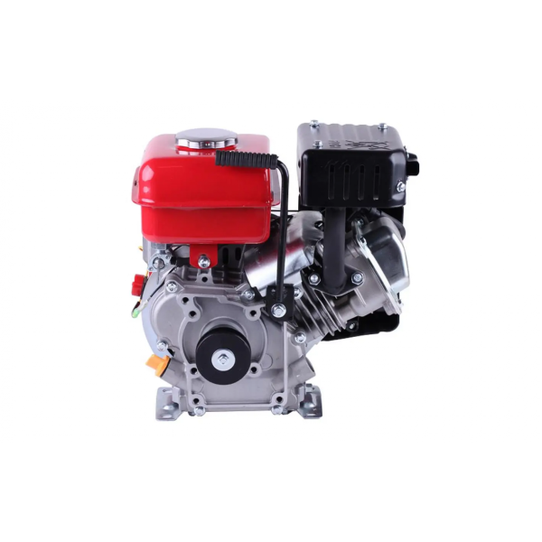Motor pe benzina Tata 156F