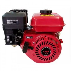 Бензиновый двигатель Tata DV-05-170F