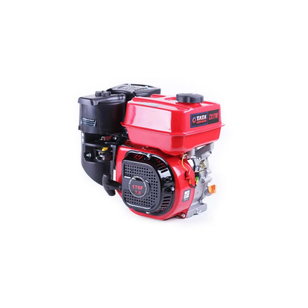 Motor pe benzina Tata DV-29-170F