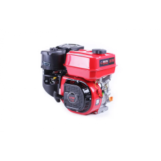 Бензиновый двигатель Tata DV-30-170F