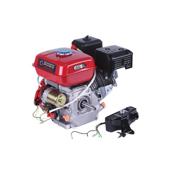 Motor pe benzina Tata DV-85-170FE
