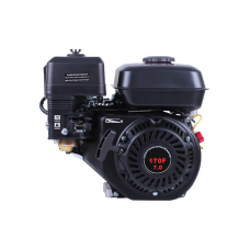 Двигатель бензиновый Tata 170F TT