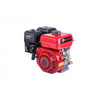 Motor pe benzina Tata 170FF/25 mm