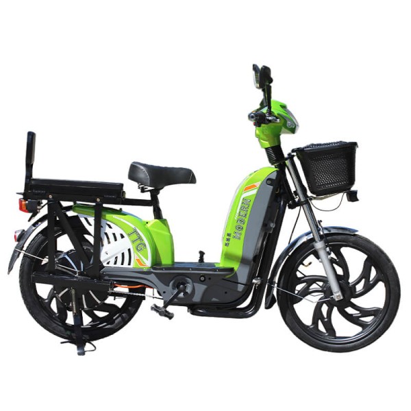 Bicicletă electrică TTG Modern EB-004 800W, verde