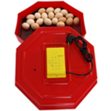 Электрический инкубатор ERT-MN 9050 / INC1 (60 куриных яиц или 150 перепелиных яиц) 