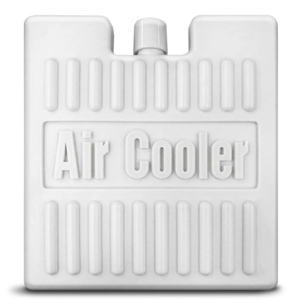Охладитель воздуха Aircooler Trotec PAE 21