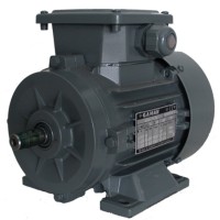 Motor electric GAMAK AGM 112 (G157503)