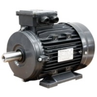 Motor electric GAMAK MSD 80 (G0751500)