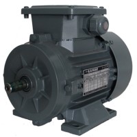 Motor electric GAMAK GM 225 (G3001003)