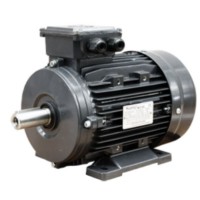 Motor electric GAMAK MSD 100 (G3000)